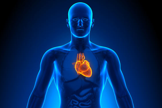 Quando o Corpo Fala: Como Nossas Emoções Moldam a Saúde