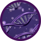 Reprogramação Celular e DNA Energético - Carla Caelarys - Alma em Alquimia